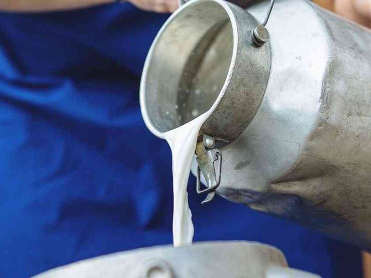 «Politiche su misura per la filiera del latte»