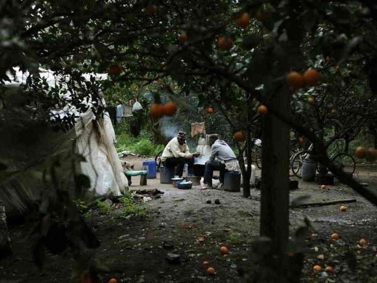 «La ribellione dei braccianti? Sindacato e politica agiscano»