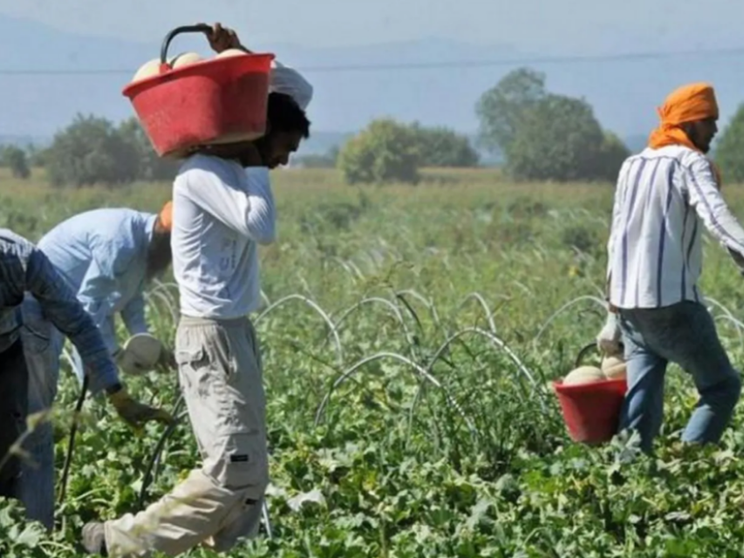 Startup africane e imprese italiane dialogano sull'agricoltura sostenibile