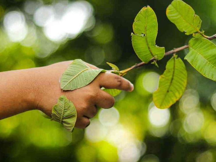 Così i Greci insegnarono la physis ai primi cristiani