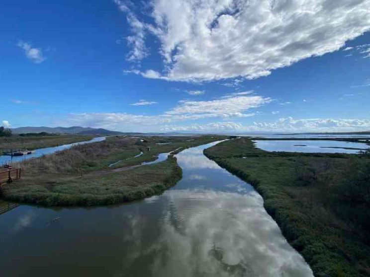 Maremma che green. Viaggio nella Toscana più selvaggia