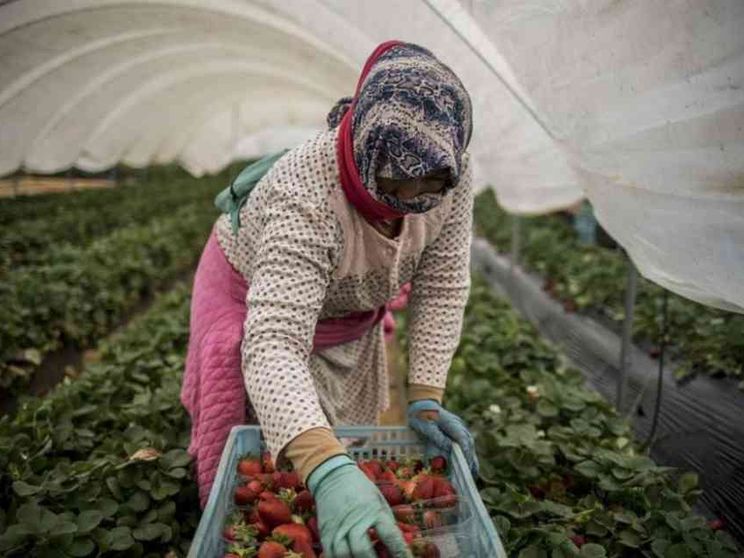 Il decreto flussi è legge: stretta sui ricongiungimenti e sui cellulari