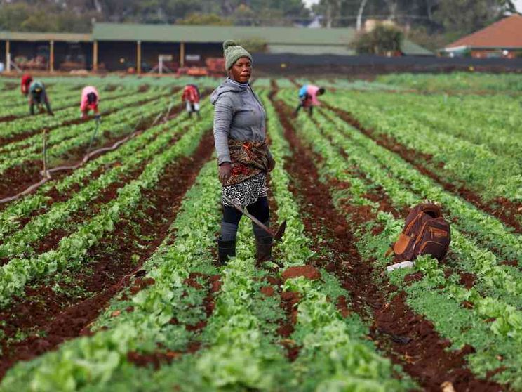 Clima e debito, perché ci conviene pagare per il Sud del mondo