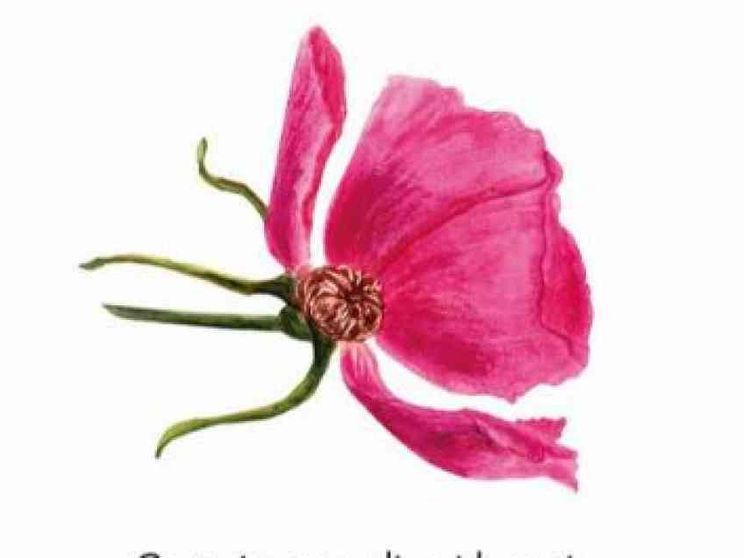 La strada che porta a una nuova economia