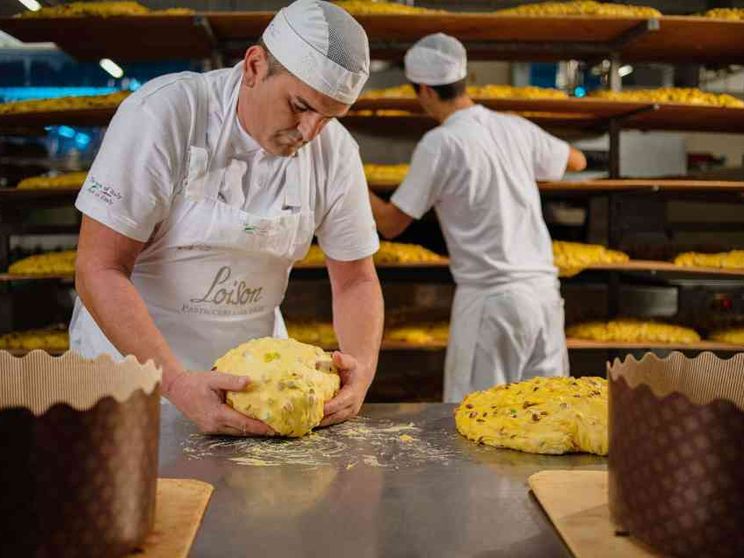 Loison, com'è slow il panettone: «Così difendiamo la biodiversità»
