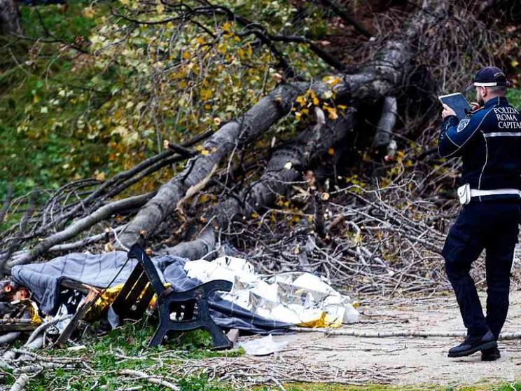 Il vento, l'albero caduto: così mamma Francesca è morta davanti ai suoi bimbi