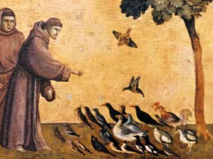 Il Cantico delle Creature, da 800 anni voce di speranza