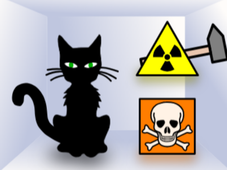 Il gatto di Schrödinger esiste davvero e ha sette vite
