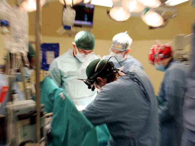 Nel 2024 record di organi donati. «Ma tra i giovani troppi dinieghi»