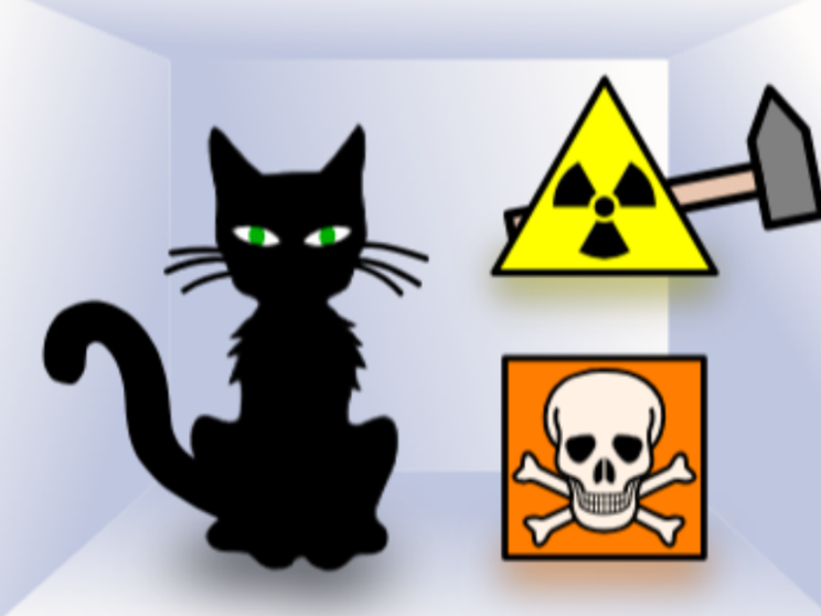 Il gatto di Schrödinger esiste davvero e ha sette vite