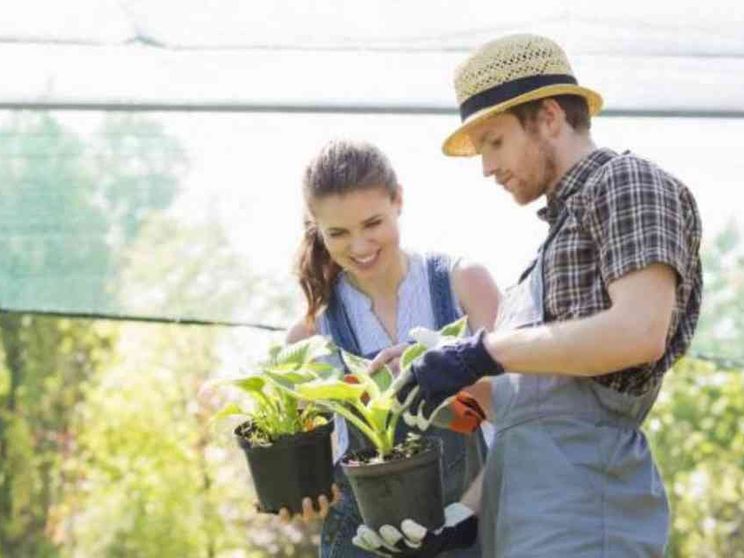 Per le Coop agricole il bisogno di diventare grandi