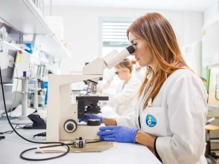 In Italia 390mila nuovi casi di tumore nel 2024. Il 40% è prevenibile