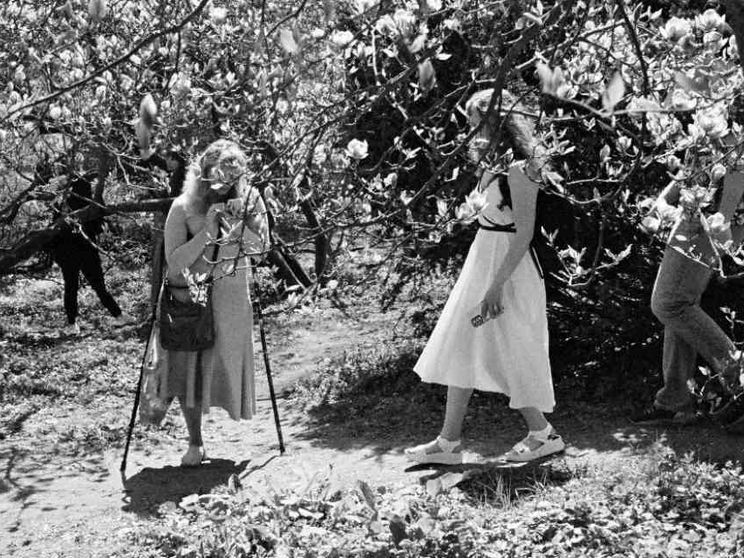 Come pregare per il nemico, se il perdono non è virtù umana?