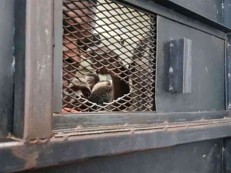 Caso Almasri: una vittima di torture denuncia Nordio, Piantedosi e Meloni