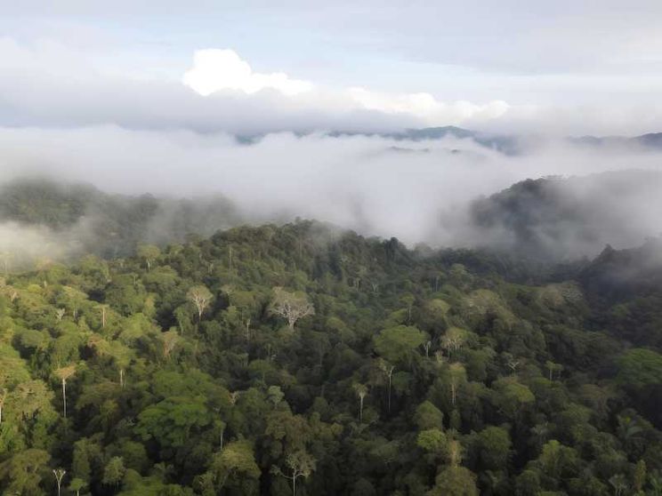 L'Amazzonia dei fiumi volanti: come si cambia per non morire