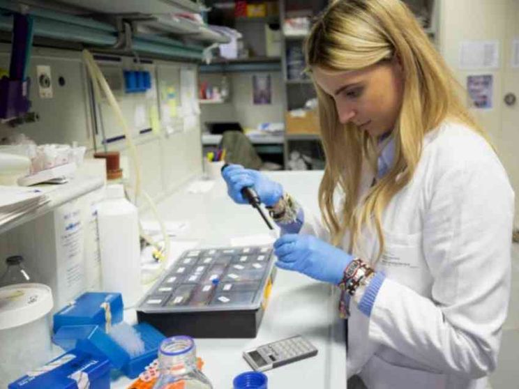 “Linfociti killer” per curare i tumori al pancreas e al colon