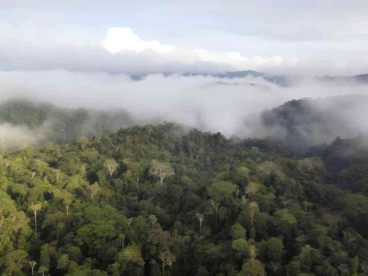 L'Amazzonia dei fiumi volanti: come si cambia per non morire