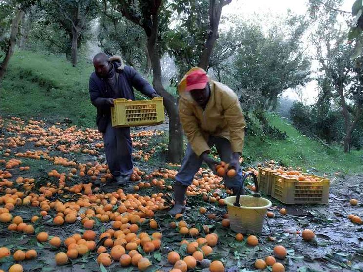 Click day? Per le imprese i conti non tornano