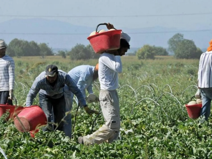 L'ultimo click day è per gli stagionali. Coldiretti: mancano 100mila lavoratori