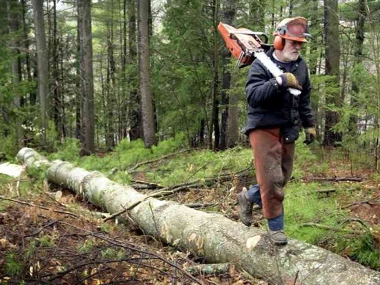 Dalla manutenzione del territorio nuove opportunità di lavoro