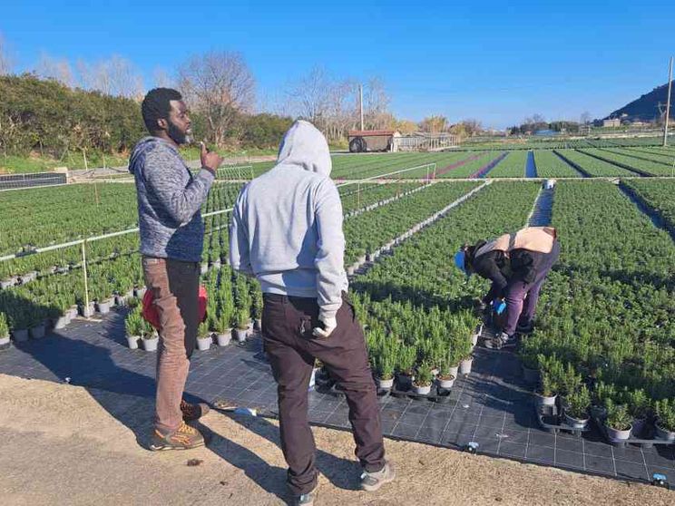 Un sindacalista tra gli sfruttati. «Nei campi raccolgo le loro denunce»