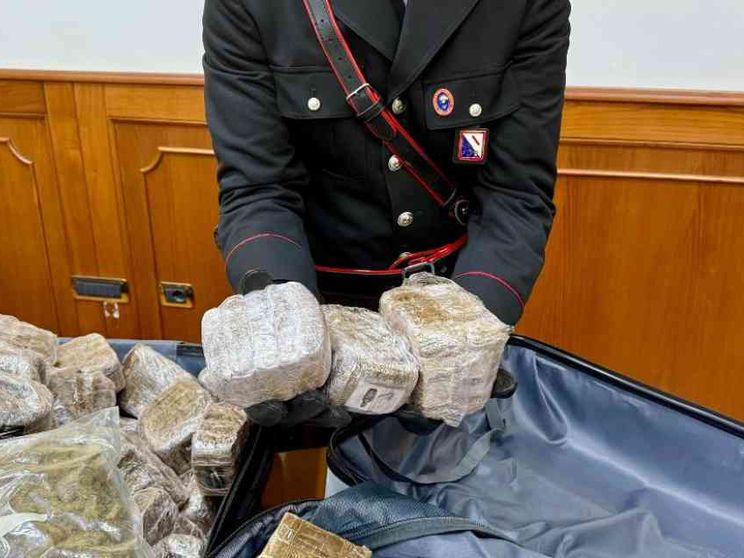 Quei maxi-carichi di cocaina e hashish verso l'Italia: due blitz per bloccarli