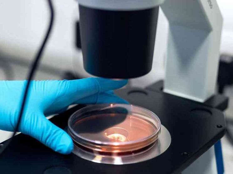 All'Idi di Roma un convegno con le Associazioni dei malati