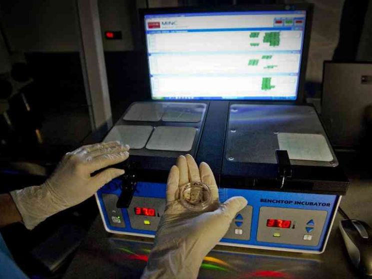 Sono “figli della provetta” 4 neonati su 100. Aumentano gli embrioni congelati