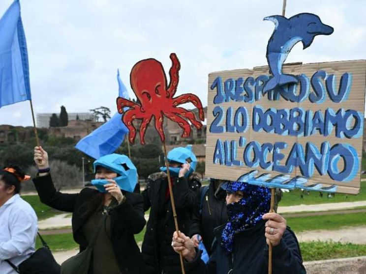 Alla Cop16 si è fatto un accordo in extremis per tutelare la biodiversità
