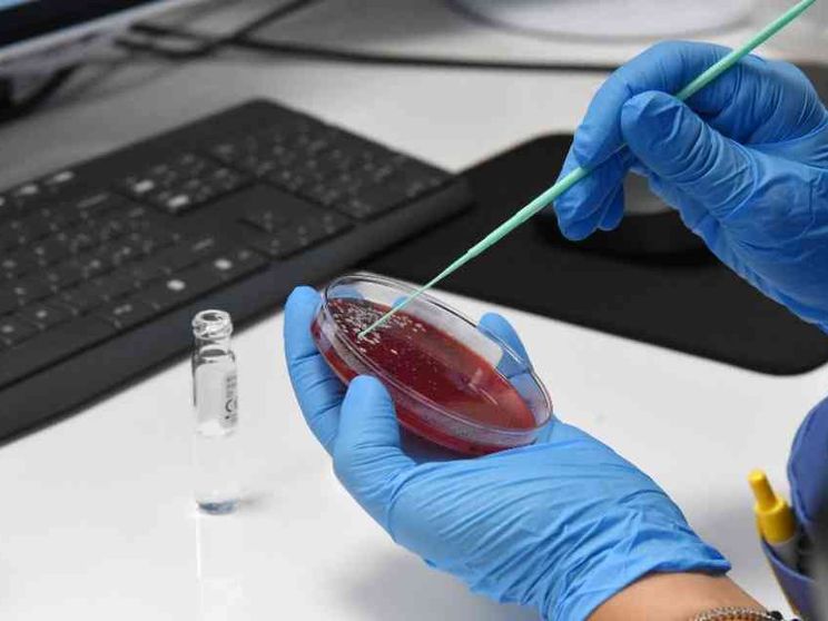 Malattie rare, in Italia 100mila senza diagnosi