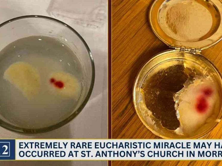 Sangue dalle ostie, l'arcidiocesi di Indianapolis indaga