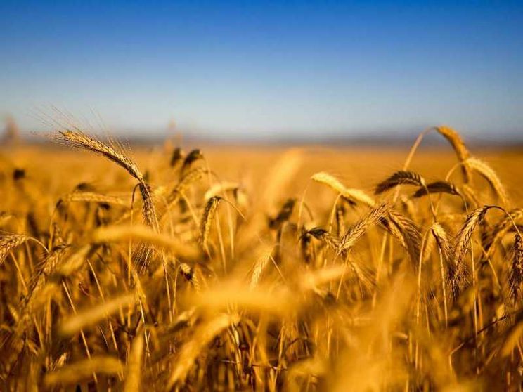 Chiedere perdono anche per chi non riesce a farlo