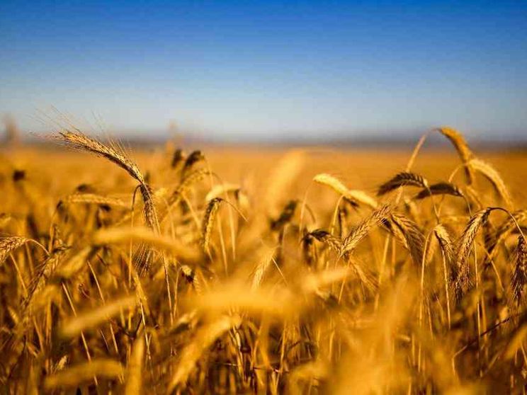 Chiedere perdono anche per chi non riesce a farlo