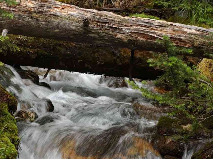 I digiuni che liberano il cuore