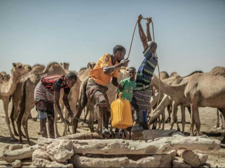 L'allarme Onu: record di profughi climatici nel 2024
