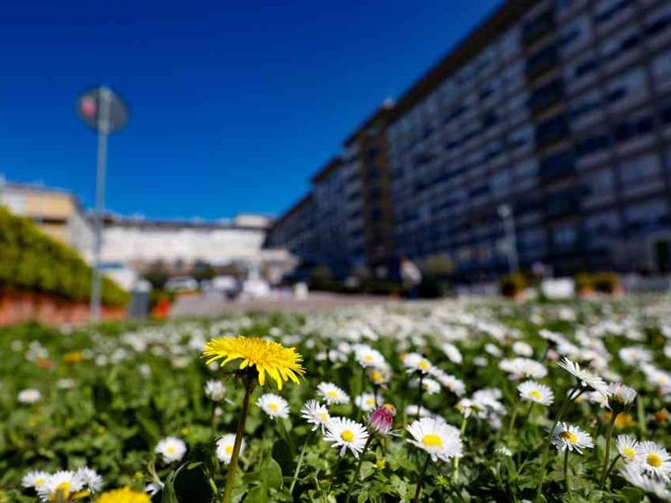 Il Papa sta meglio. «Sospesa la ventilazione meccanica notturna»