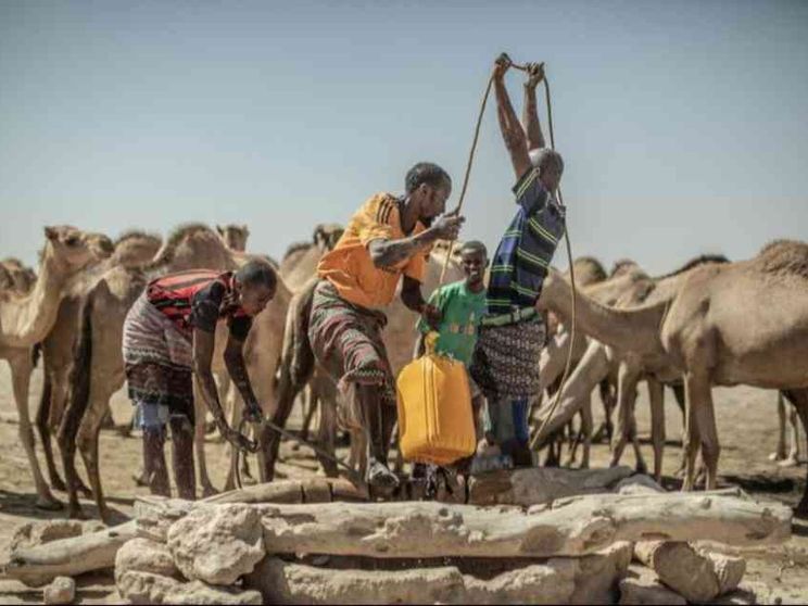 L'allarme Onu: record di profughi climatici nel 2024