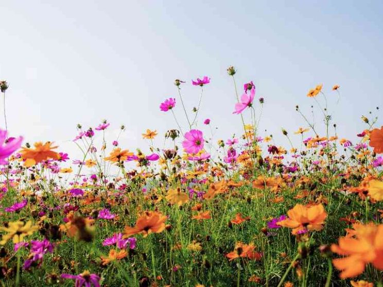 La preghiera della serenità (quando manca)