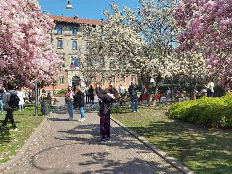 La fioritura nella piazza di Acutis. Una bellezza che conquista tutti