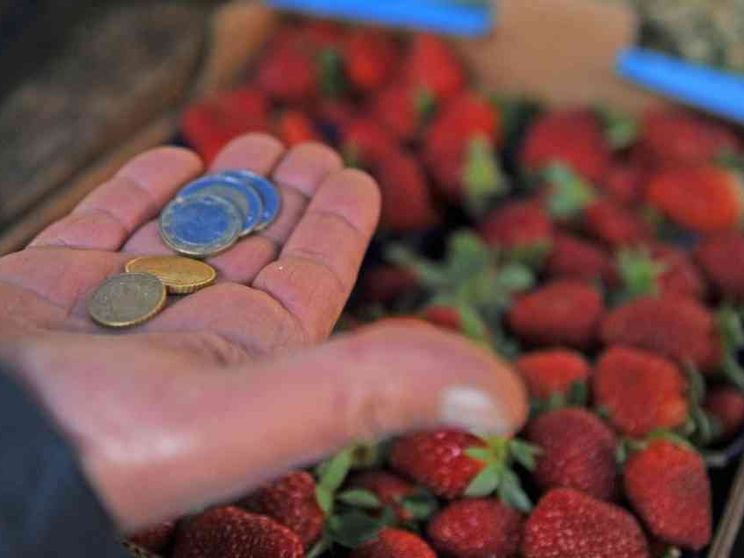 Un pacchetto di fragole per capire cosa vuol dire essere a rischio povertà