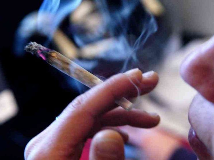 Giovani e cannabis, in gioco la fertilità