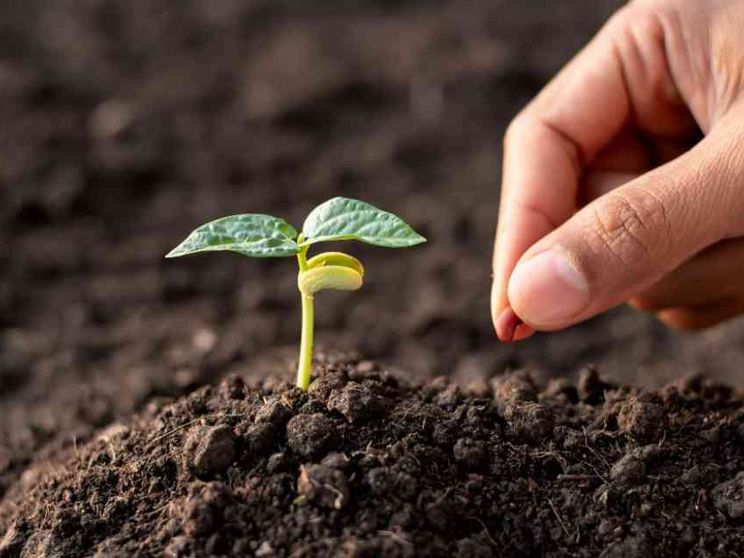 La forza della pazienza (e come ottenerla)