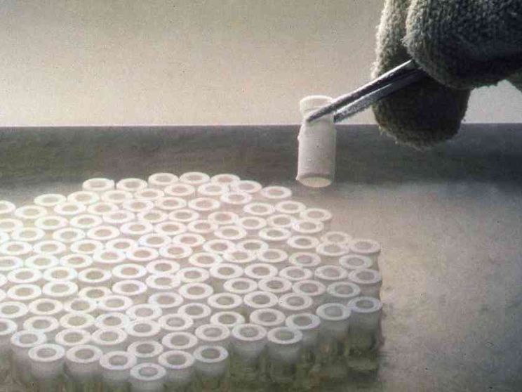 Embrioni congelati, una legge per adottarli? Ma non si sa quanti sono