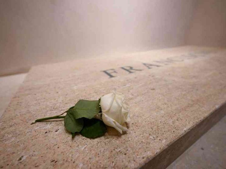 Teresa di Lisieux e la rosa bianca: la devozione di Francesco