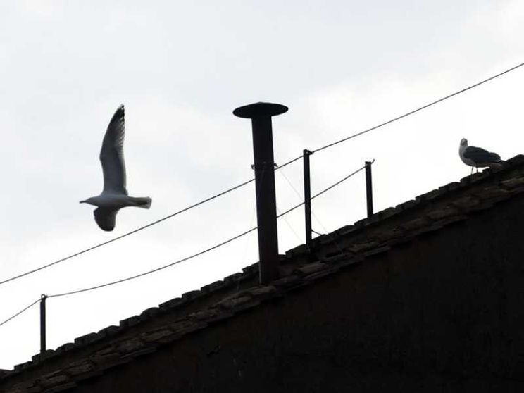 L’attesa guardando un comignolo, una bellezza fuori dal mondo