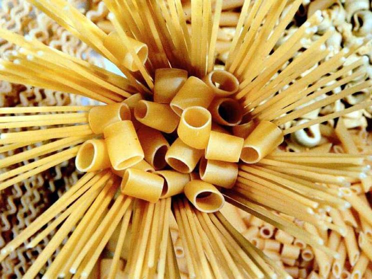 Cresce il raccolto, calano i prezzi: la battaglia sul grano non è finita