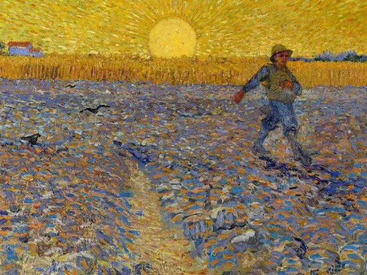Il grano, la terra, il sole: il Papa spiega il “Seminatore” di van Gogh