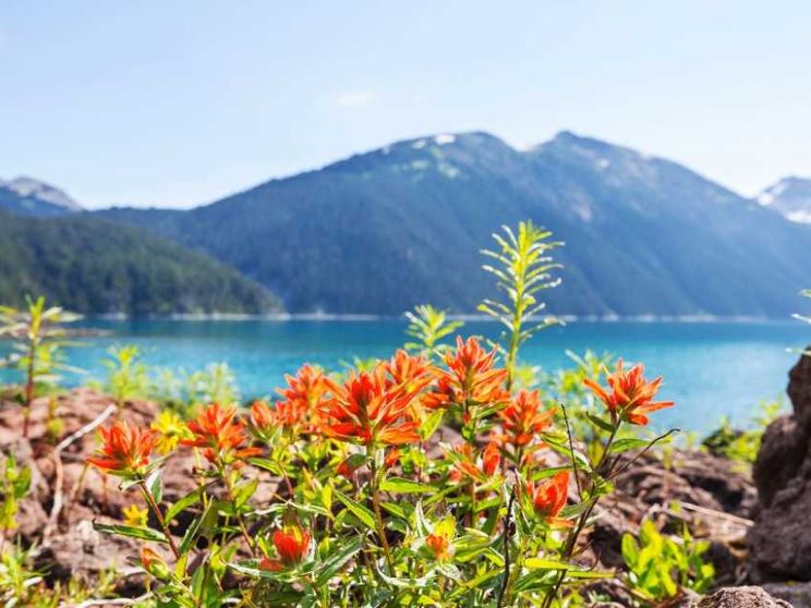 Nessuno sa davvero come pregare