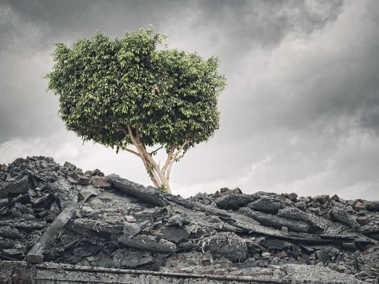 È questo capitalismo speculativo a farci detestare gli esseri umani