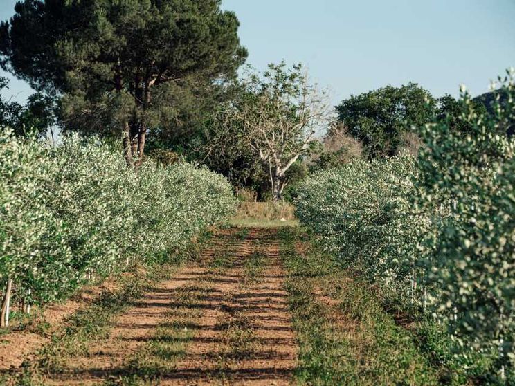 Lavoro e più investimenti sul territorio: c'è una ricetta anti-spopolamento